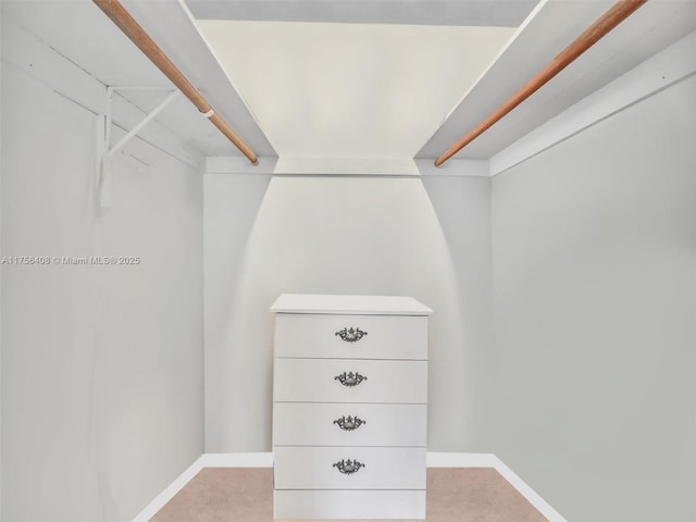 walk in closet with carpet