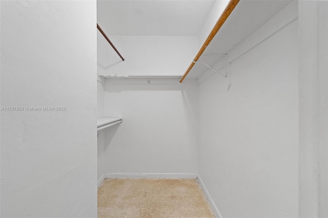 view of spacious closet