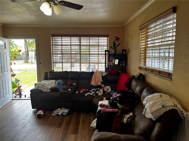 living room featuring ceiling fan, crown molding, a textured ceiling, and wood finished floors