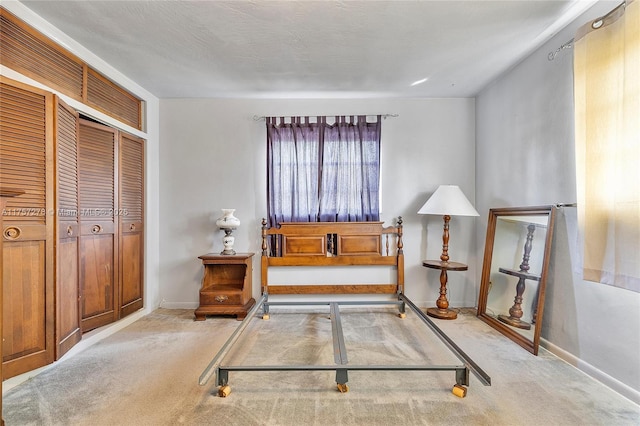 interior space featuring baseboards and a closet