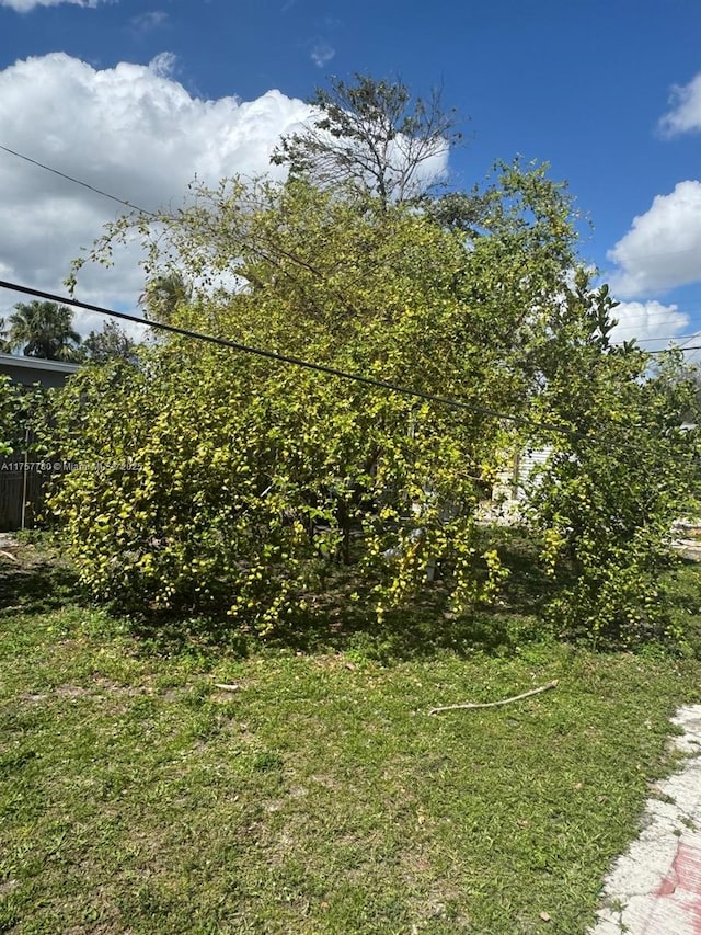 view of yard