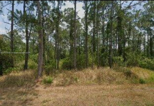 5112 Manati Ave, Sebring FL, 33872 land for sale