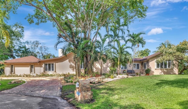 single story home featuring a front lawn, decorative driveway, and stucco siding