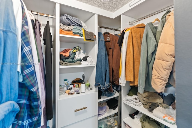 view of spacious closet