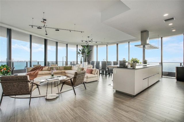 living room featuring expansive windows, a healthy amount of sunlight, light wood-style flooring, and track lighting