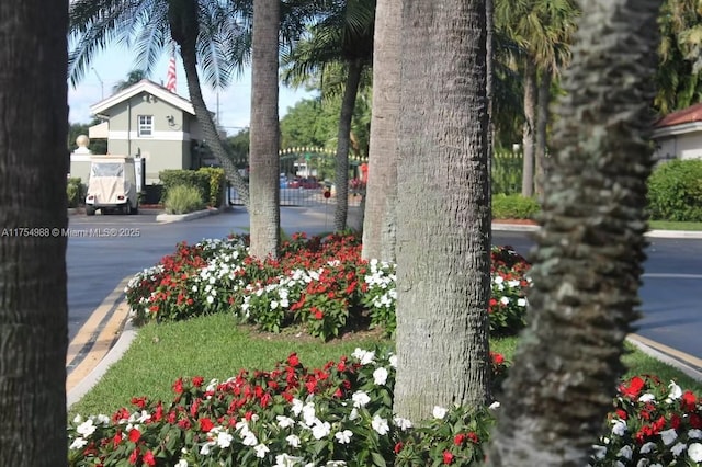 3548 Sahara Springs Blvd, Pompano Beach, FL 33069 - view of yard