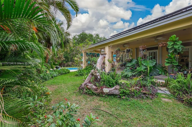 7685 SW 153rd St, Palmetto Bay, FL 33157 - view of yard featuring an outdoor pool and a ceiling fan