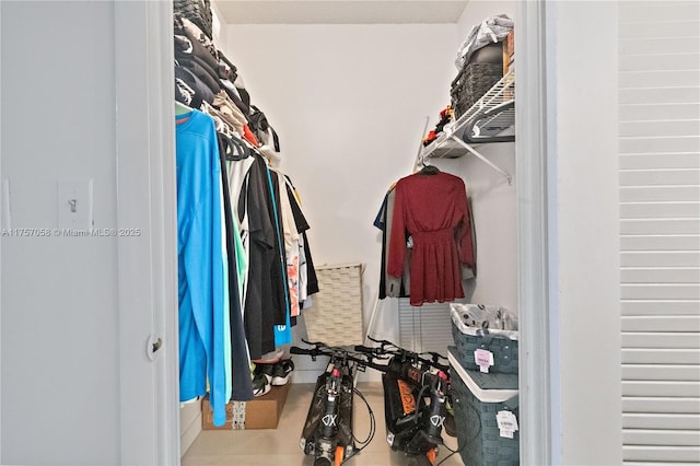 view of spacious closet