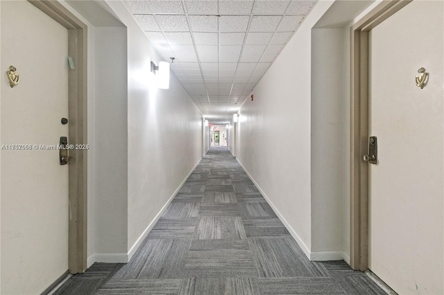 corridor featuring carpet floors, baseboards, and a drop ceiling