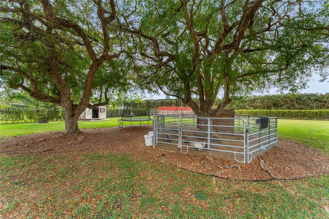 view of yard with an outbuilding and a storage unit