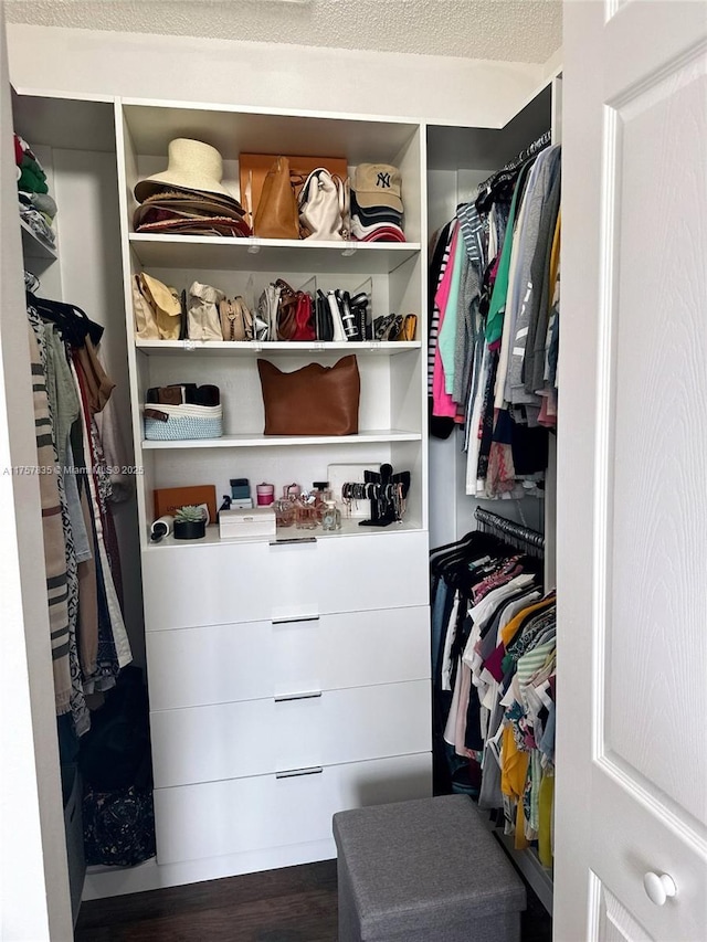 view of closet