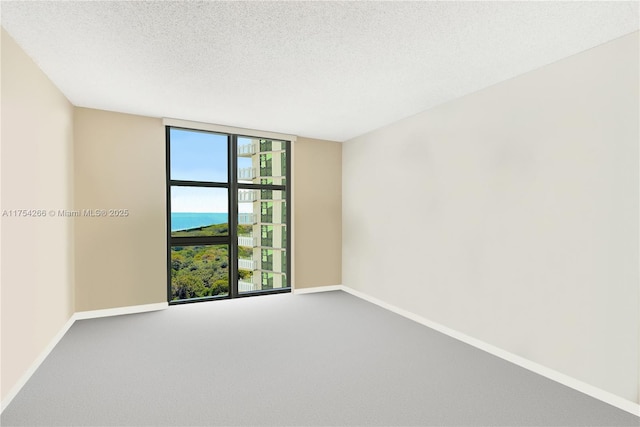 spare room with carpet floors, floor to ceiling windows, a textured ceiling, and baseboards