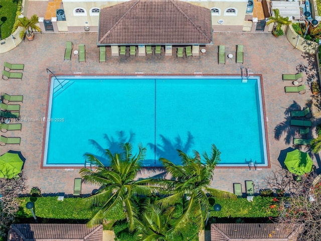 view of swimming pool