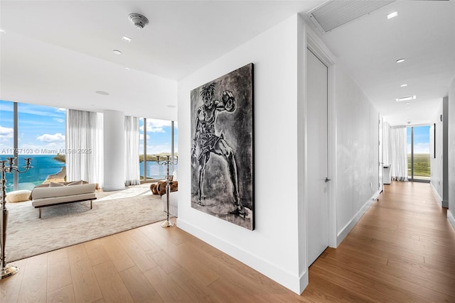 hall with expansive windows, baseboards, and wood finished floors