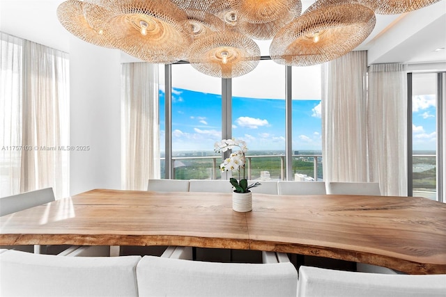 unfurnished dining area with a healthy amount of sunlight