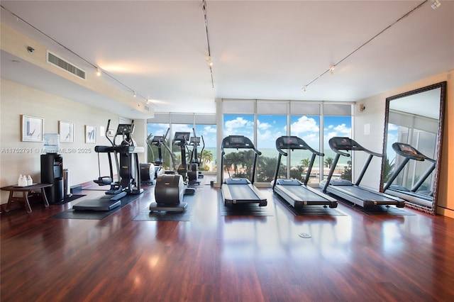 gym featuring a wall of windows, wood finished floors, visible vents, and rail lighting