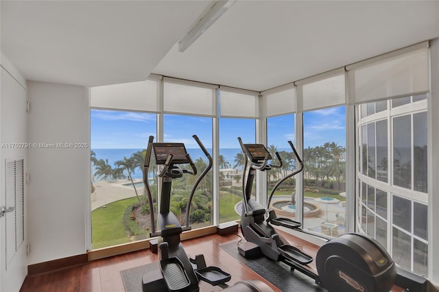 workout area featuring expansive windows, baseboards, and wood finished floors