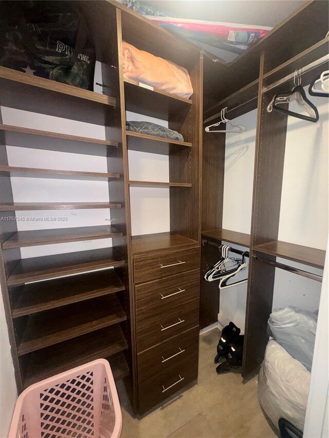 view of spacious closet