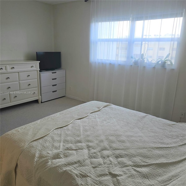 bedroom featuring carpet floors