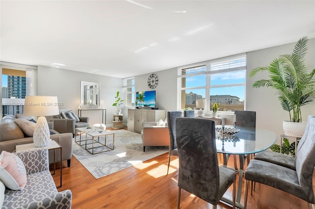 living area with wood finished floors