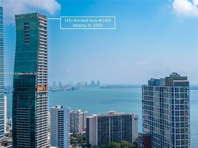 property view of water featuring a view of city