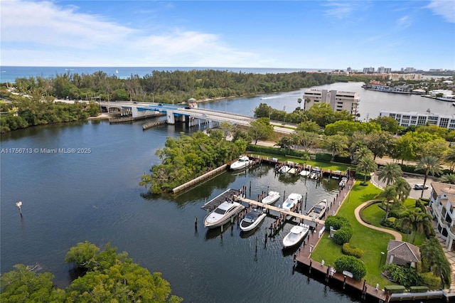 bird's eye view with a water view