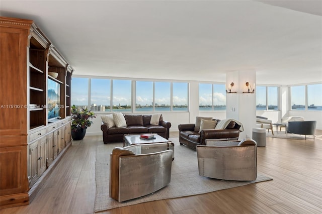 living area featuring wood finished floors