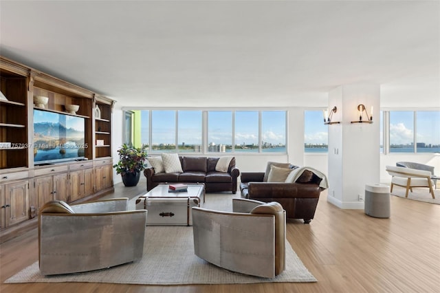 living room with light wood-type flooring, a healthy amount of sunlight, and baseboards