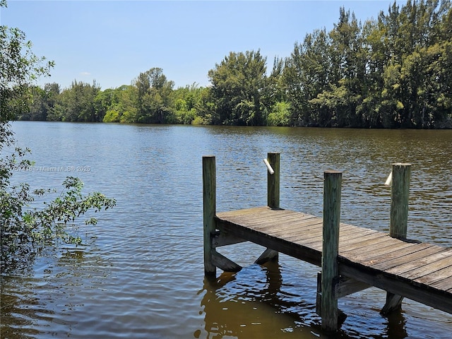 dock area with a water view and a forest view