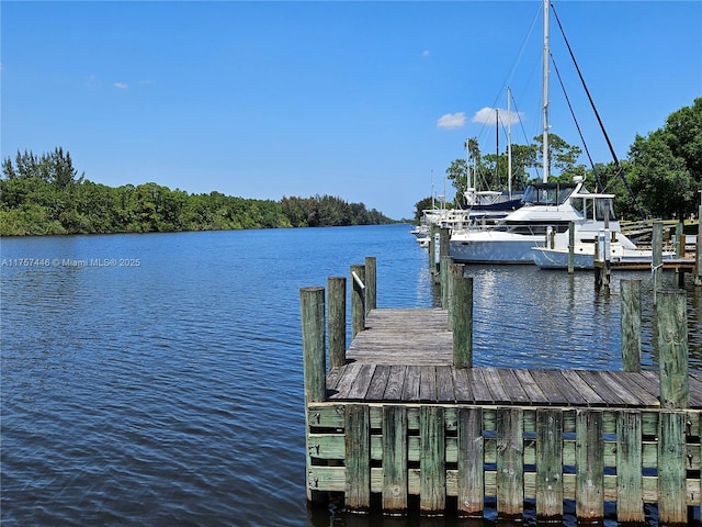 dock area featuring a water view