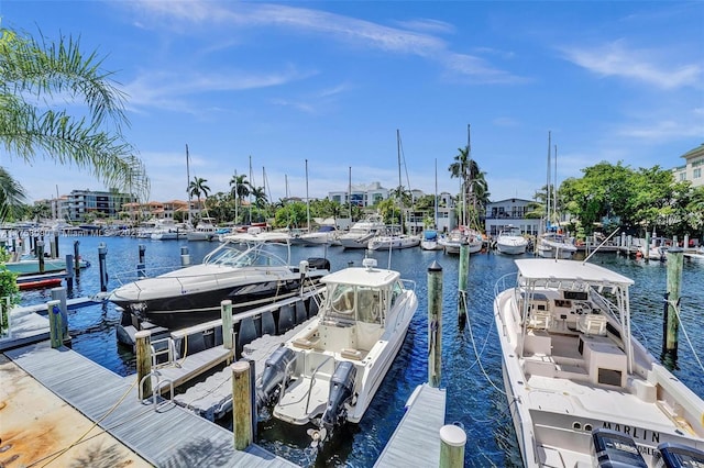 view of dock with a water view and boat lift