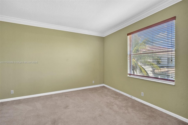 spare room featuring baseboards, a textured ceiling, carpet flooring, and crown molding