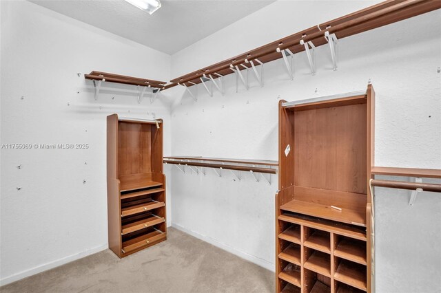 walk in closet with carpet floors