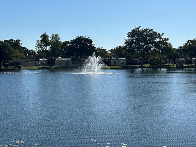 view of water feature