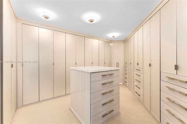 spacious closet with light carpet