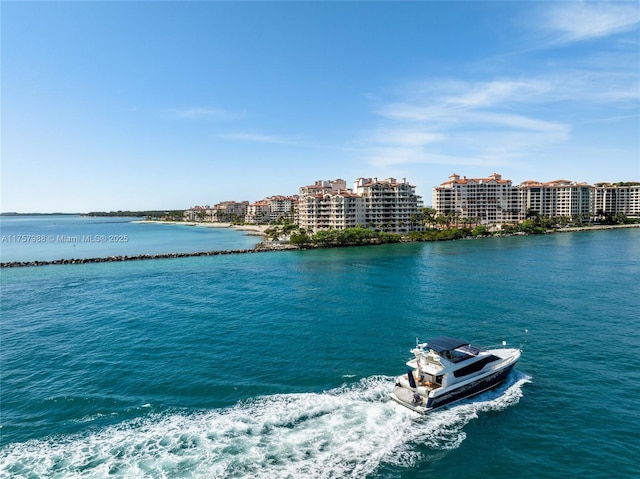 property view of water featuring a view of city