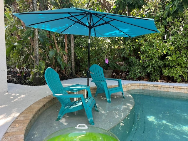 view of swimming pool featuring a patio area