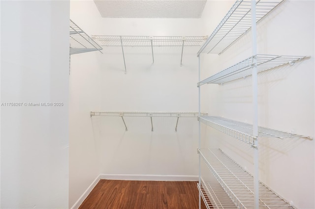 walk in closet featuring wood finished floors