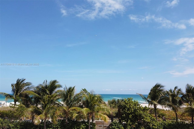 2301 Collins Ave Unit 432, Miami Beach, FL 33139 - water view