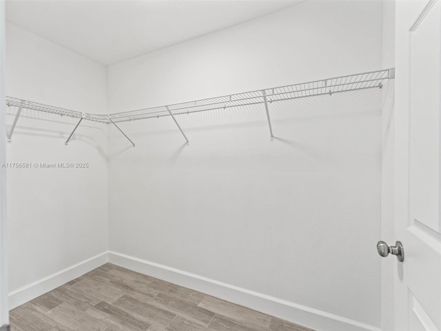 spacious closet featuring light wood-style flooring