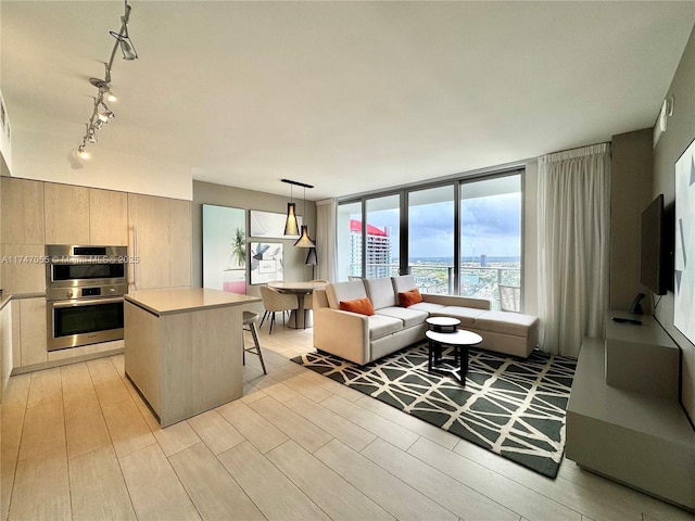 living room featuring floor to ceiling windows, rail lighting, and light wood-style floors