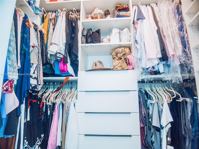 view of spacious closet