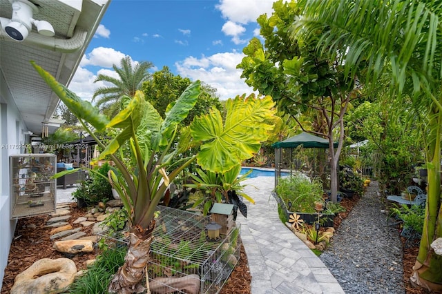 view of yard featuring a patio area and an outdoor pool