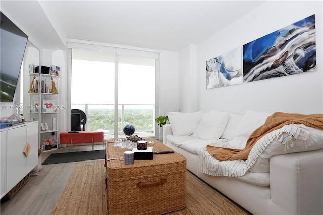 living area featuring light wood-type flooring and floor to ceiling windows