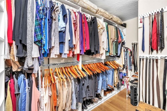 spacious closet featuring wood finished floors