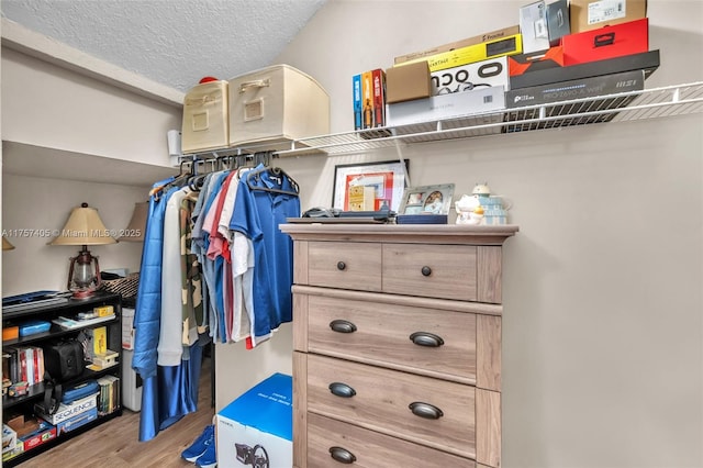 walk in closet with wood finished floors