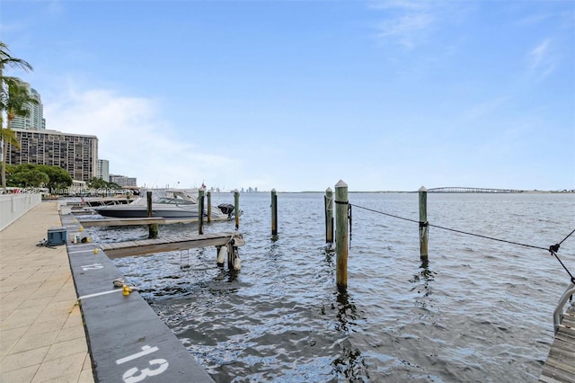 dock area with a water view