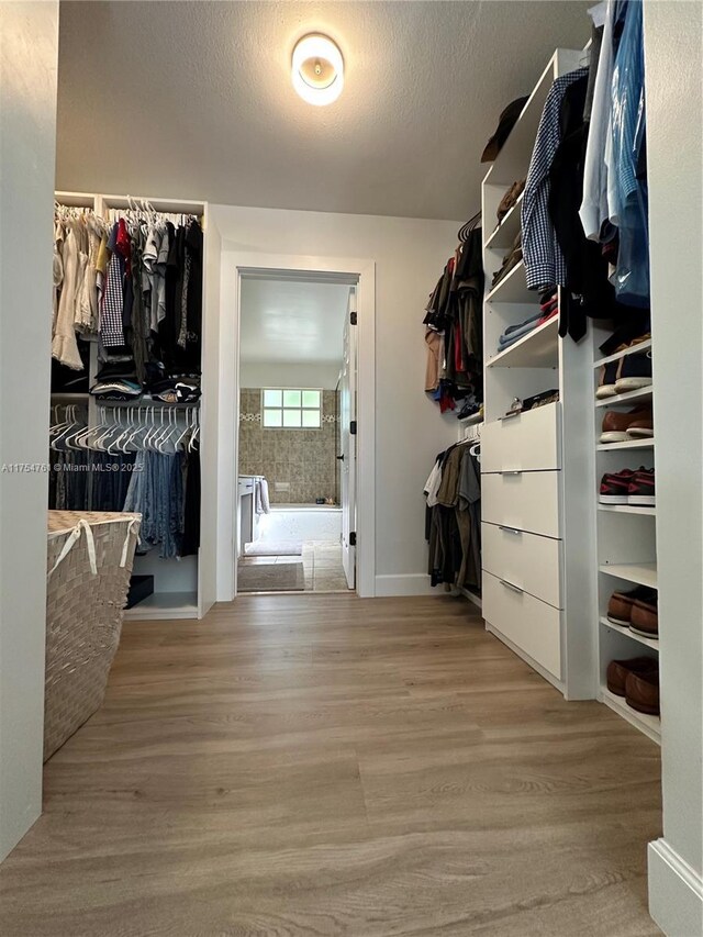 spacious closet featuring wood finished floors