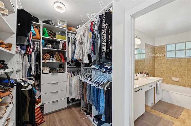 spacious closet featuring wood finished floors and a sink