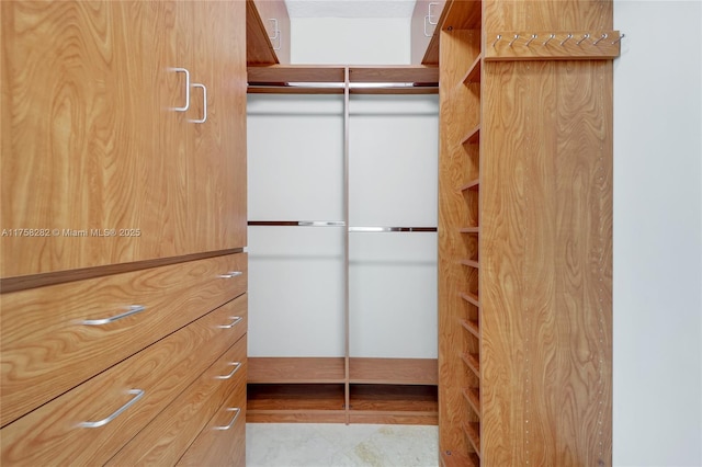 view of spacious closet